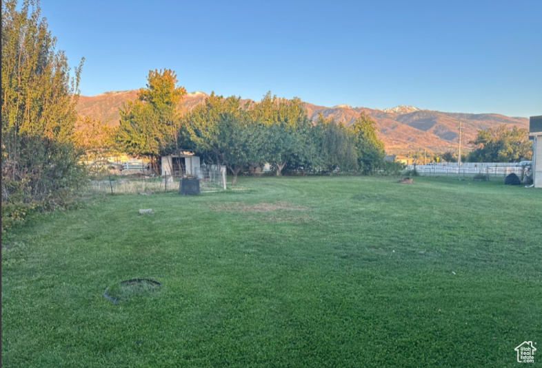 Photo 7 for MLS #2116438 at 983 E Antelope Dr