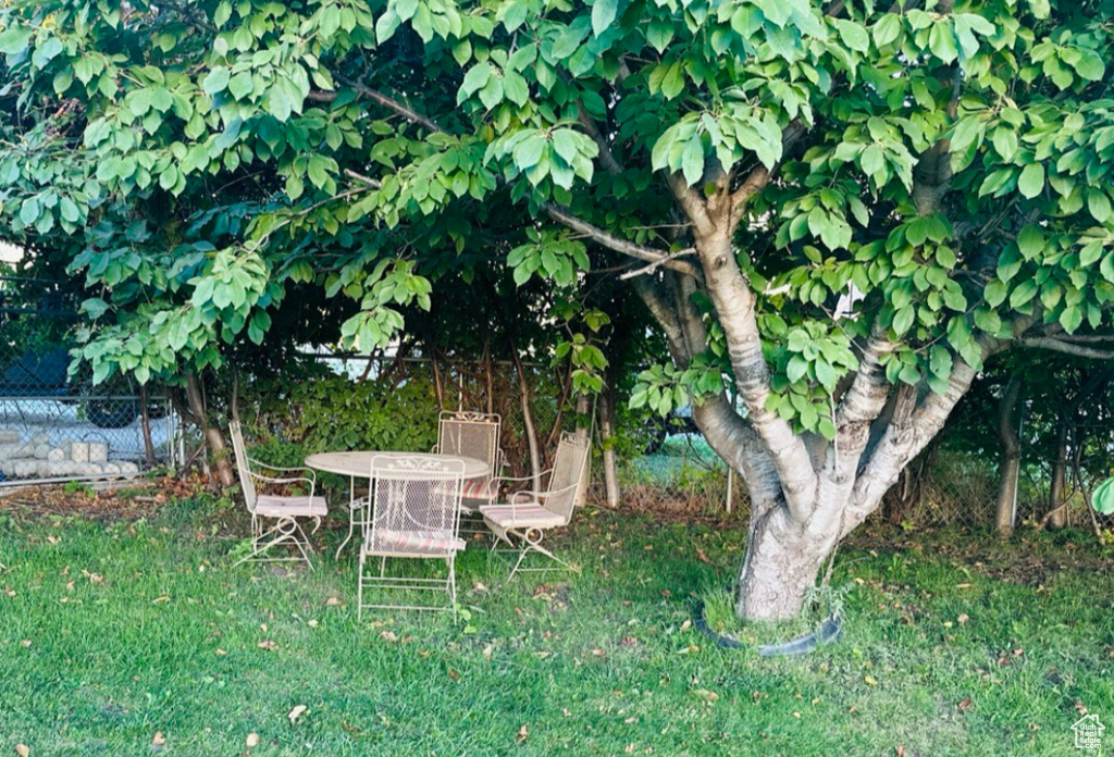 Photo 6 for MLS #2116438 at 983 E Antelope Dr