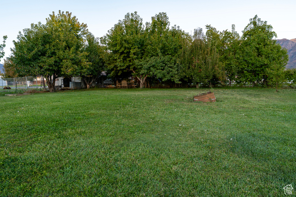 Photo 10 for MLS #2116438 at 983 E Antelope Dr