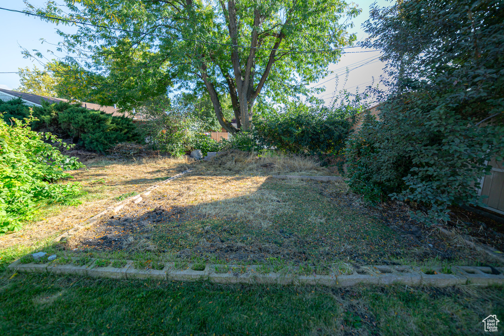 374 ORCHARD AVE American Fork, UT 84003