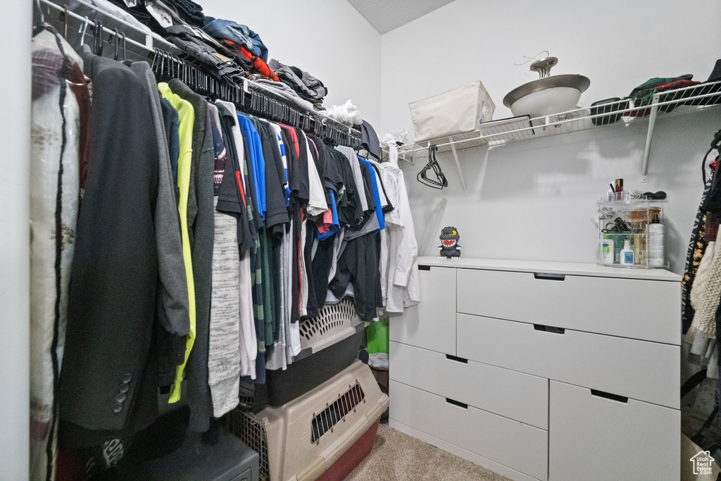 14487 S RONAN LN #P202 Herriman, UT 84096
