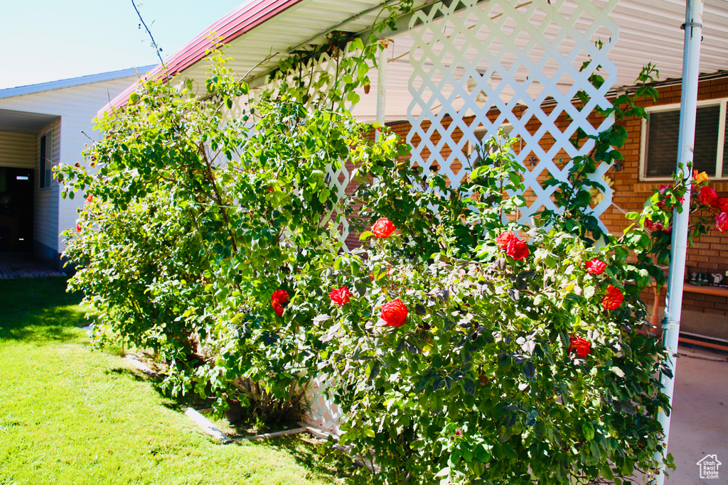 Photo 24 for MLS #2116461 at 250 E Broadway St