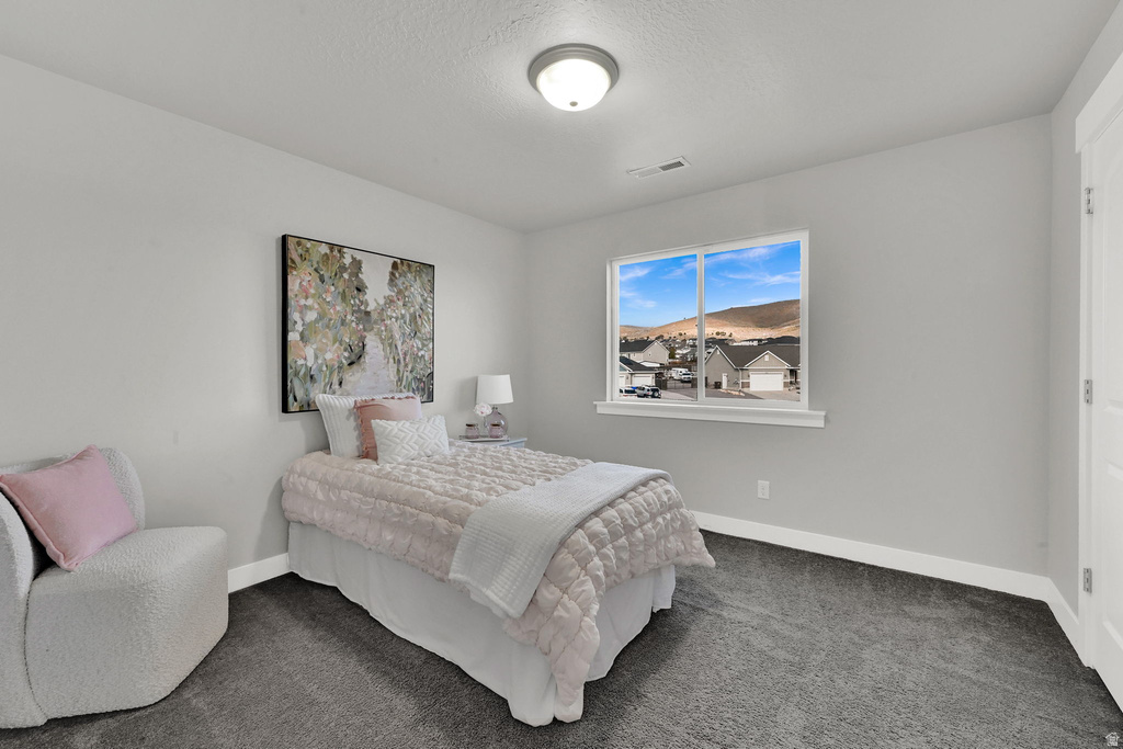 9602 N BLUE SKY DR Eagle Mountain, UT 84005