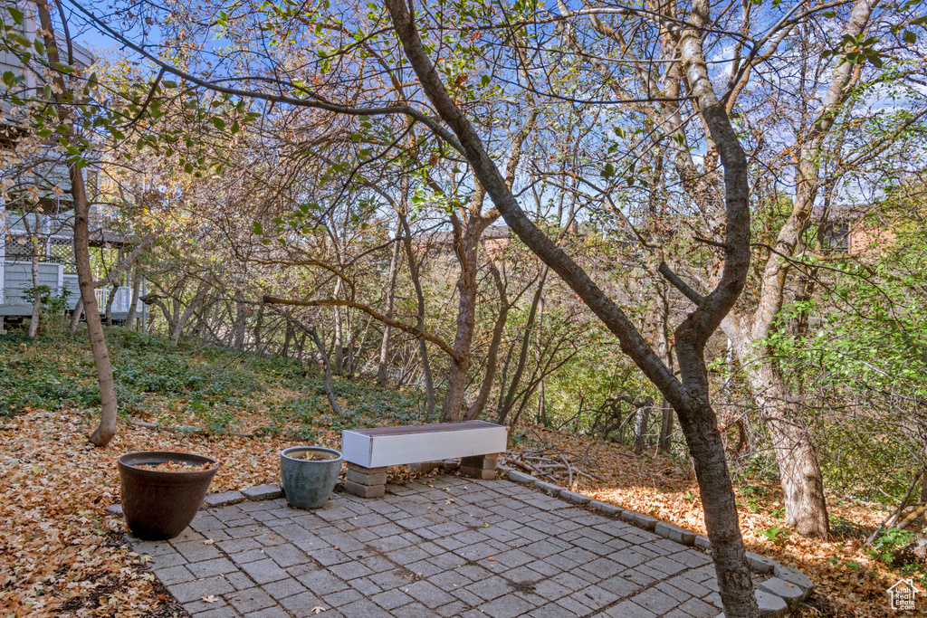 Photo 28 for MLS #2116515 at 1820 S High Pointe Dr
