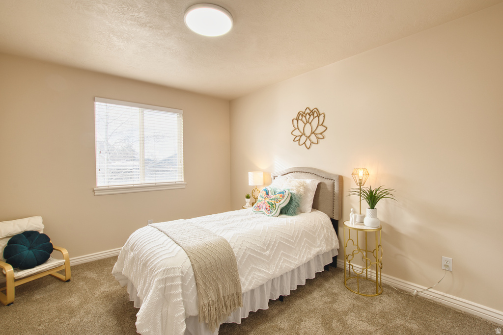 916 S 1760 W Syracuse, UT 84075