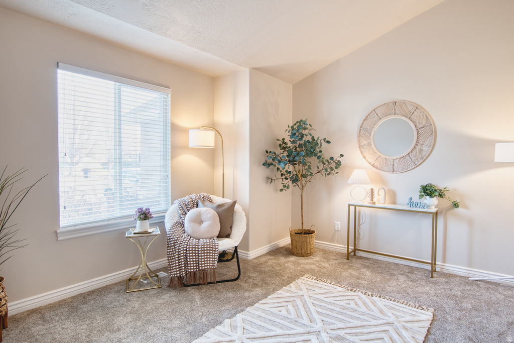 916 S 1760 W Syracuse, UT 84075