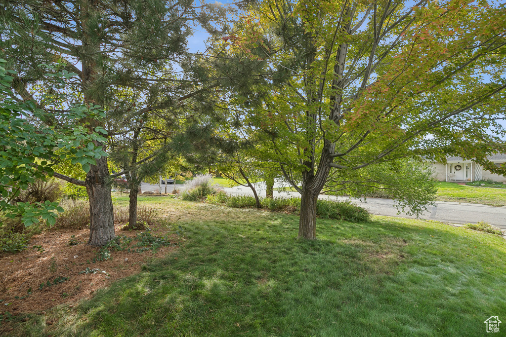 Photo 38 for MLS #2116545 at 3485 S Fleetwood Dr