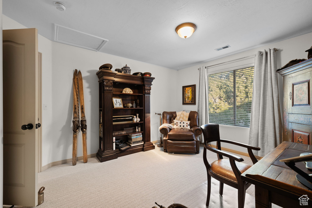 Photo 42 for MLS #2116550 at 14013 S Pine Mesa Dr