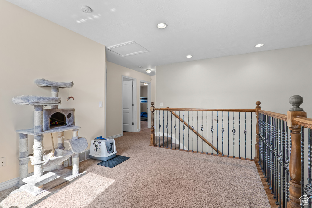 Photo 18 for MLS #2116604 at 7311 N Ute Dr