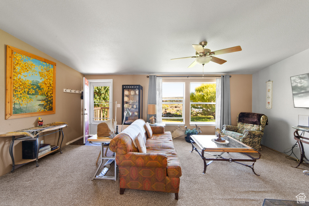 Photo 3 for MLS #2116649 at 3135 N Thompson Canyon Rd
