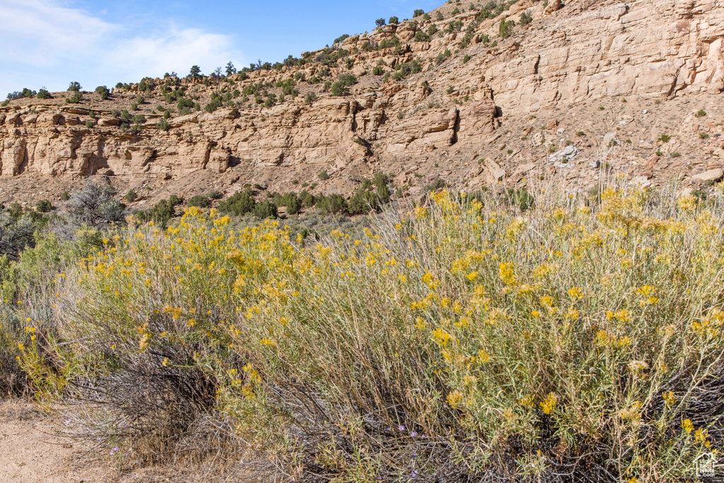 Photo 51 for MLS #2116649 at 3135 N Thompson Canyon Rd