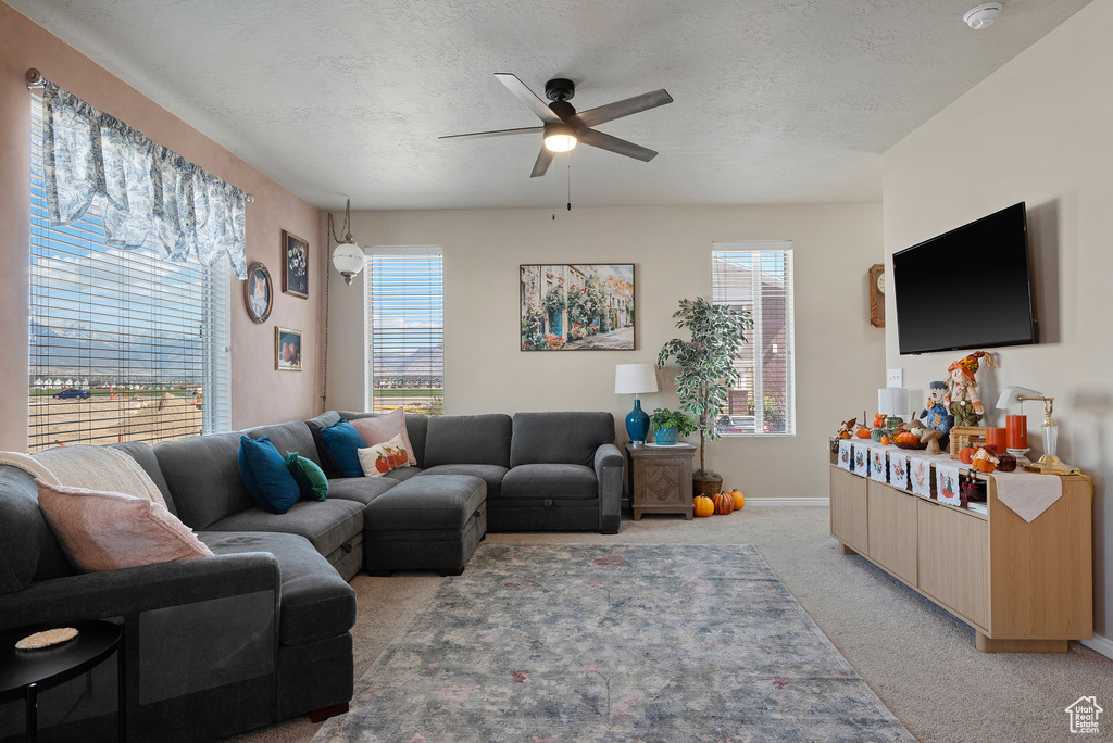 Photo 8 for MLS #2116693 at 46 W Apache Rd