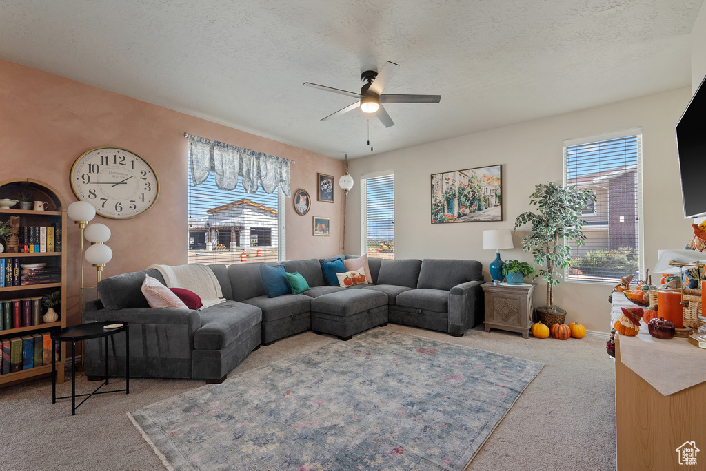 Photo 7 for MLS #2116693 at 46 W Apache Rd