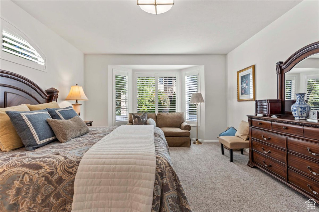Photo 27 for MLS #2116708 at 12543 S Forge Way