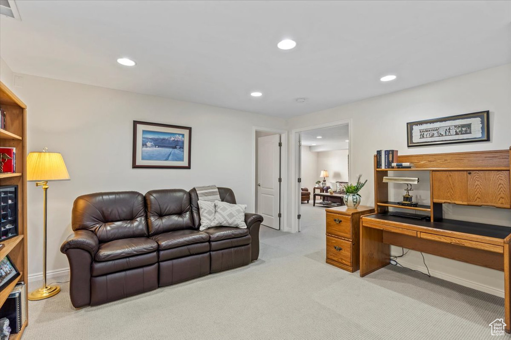Photo 42 for MLS #2116708 at 12543 S Forge Way