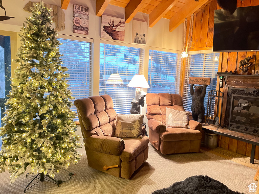 226 S HWY 143 #11A Brian Head, UT 84719