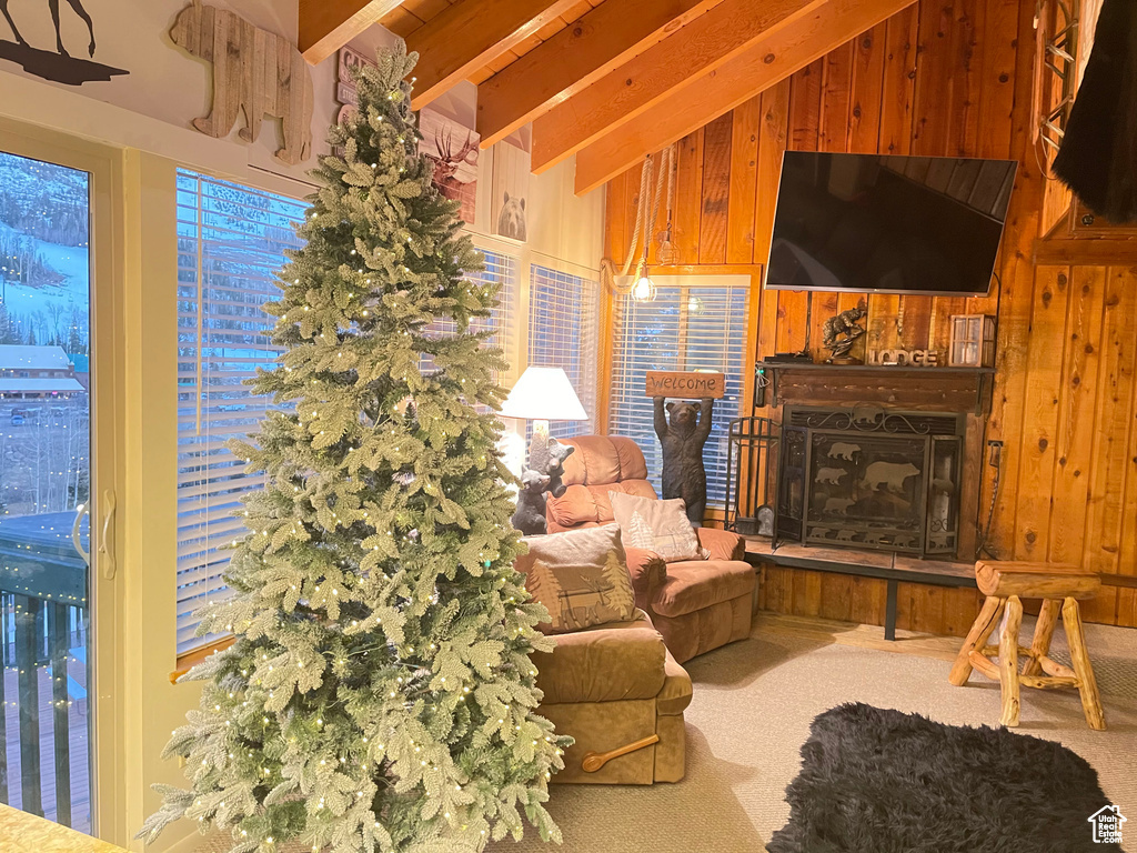 226 S HWY 143 #11A Brian Head, UT 84719