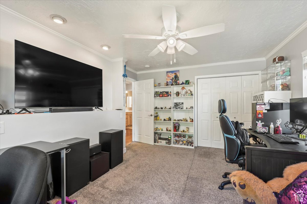 Photo 17 for MLS #2116753 at 767 W 220 North