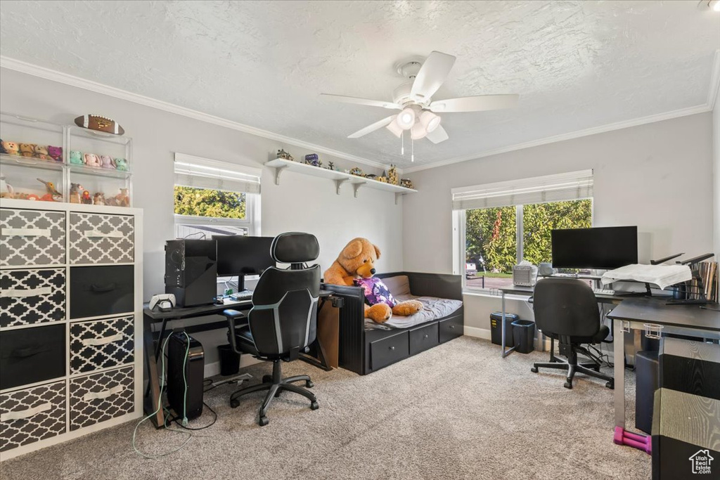 Photo 16 for MLS #2116753 at 767 W 220 North