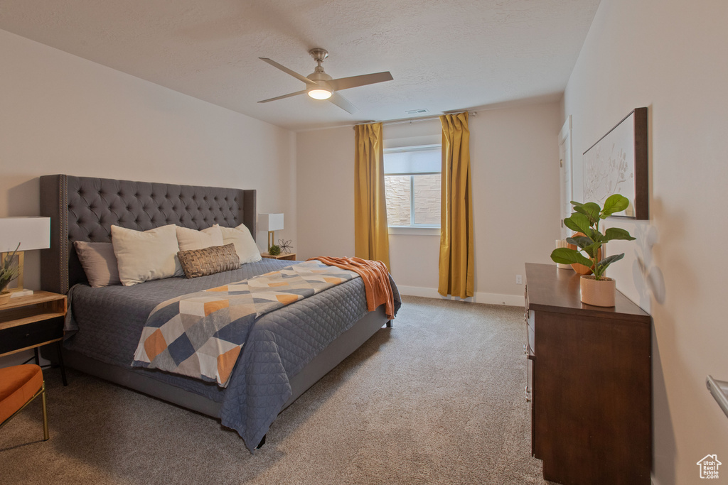 Photo 39 for MLS #2116764 at 3411 W Boulden Blvd