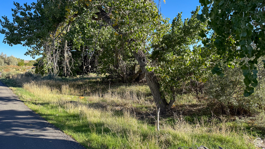 1643 N MOUNTAIN STATES RD Price, UT 84501