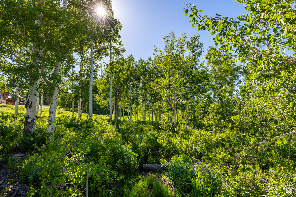 11616 E CLIFFROSE DR Heber City, UT 84032