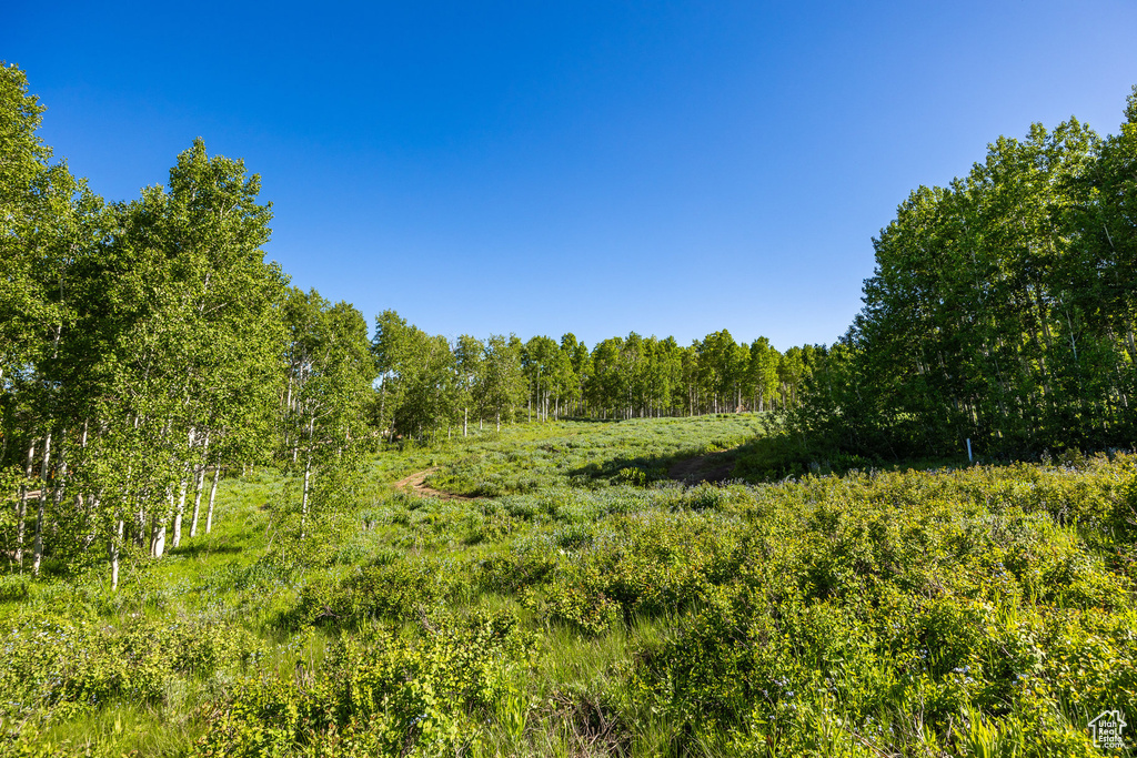 11616 E CLIFFROSE DR Heber City, UT 84032