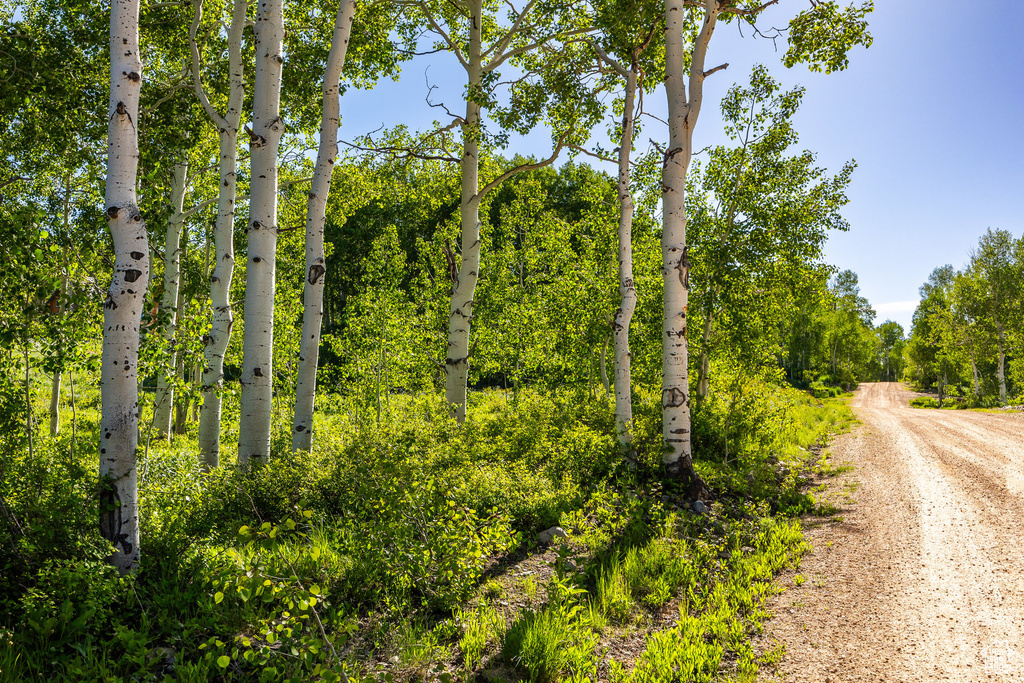 11616 E CLIFFROSE DR Heber City, UT 84032