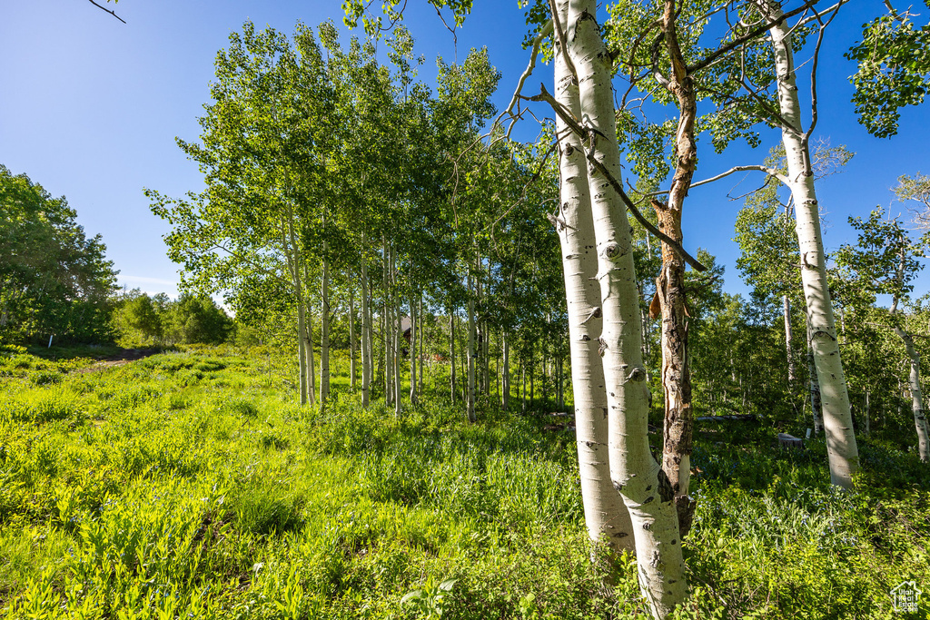 11616 E CLIFFROSE DR Heber City, UT 84032