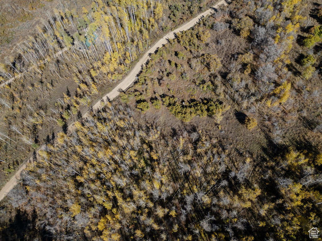 276 W BEAR TOOTH RDG Coalville, UT 84017