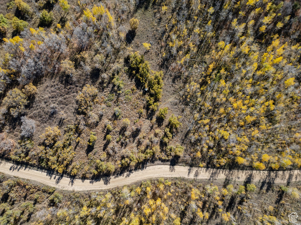 276 W BEAR TOOTH RDG Coalville, UT 84017