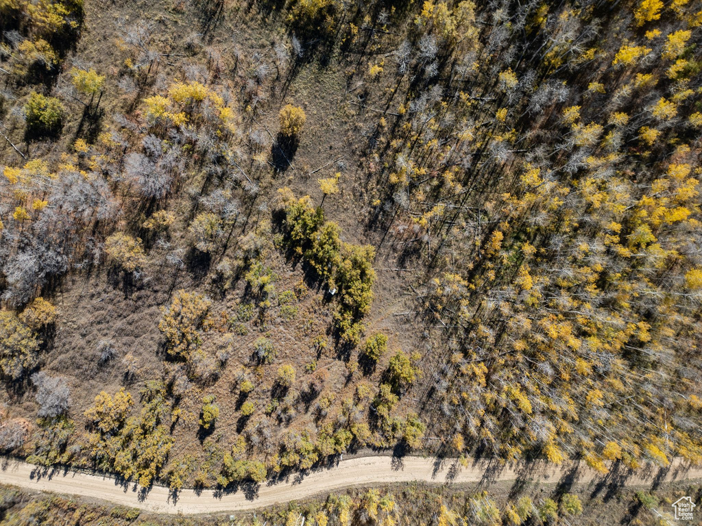 276 W BEAR TOOTH RDG Coalville, UT 84017