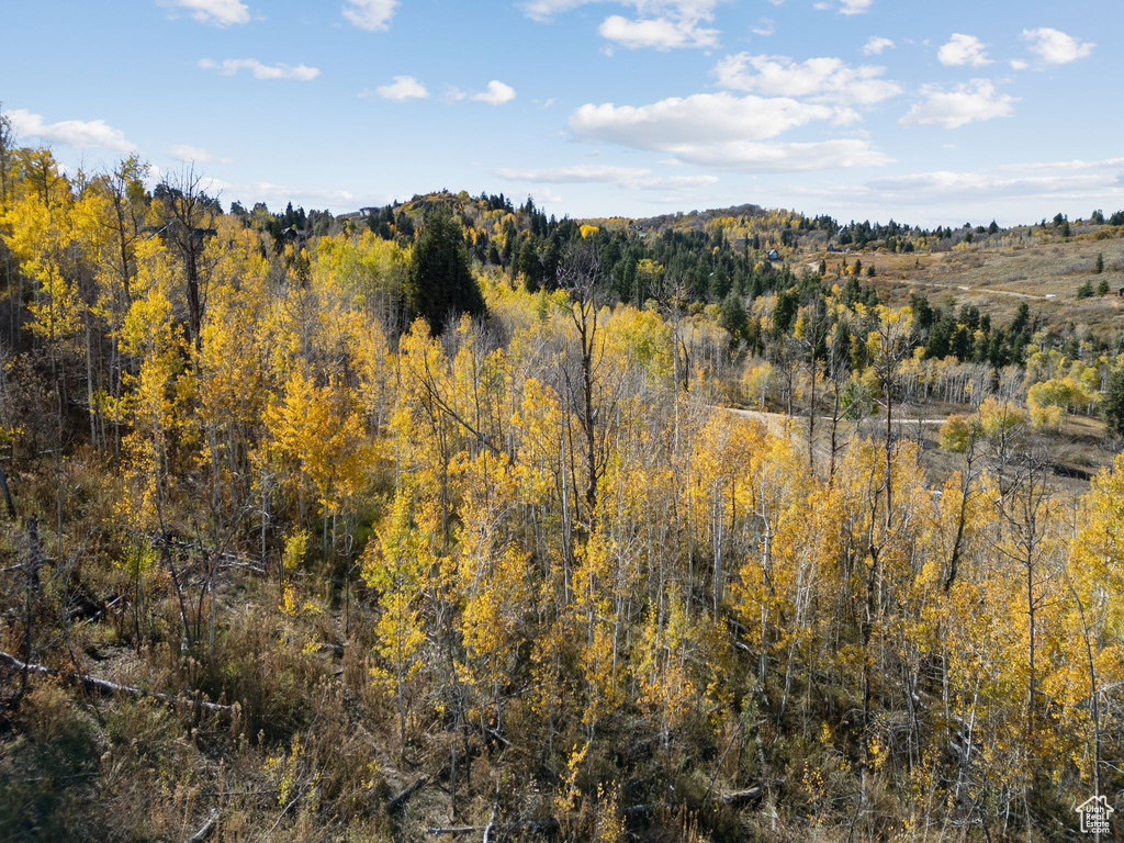 276 W BEAR TOOTH RDG Coalville, UT 84017