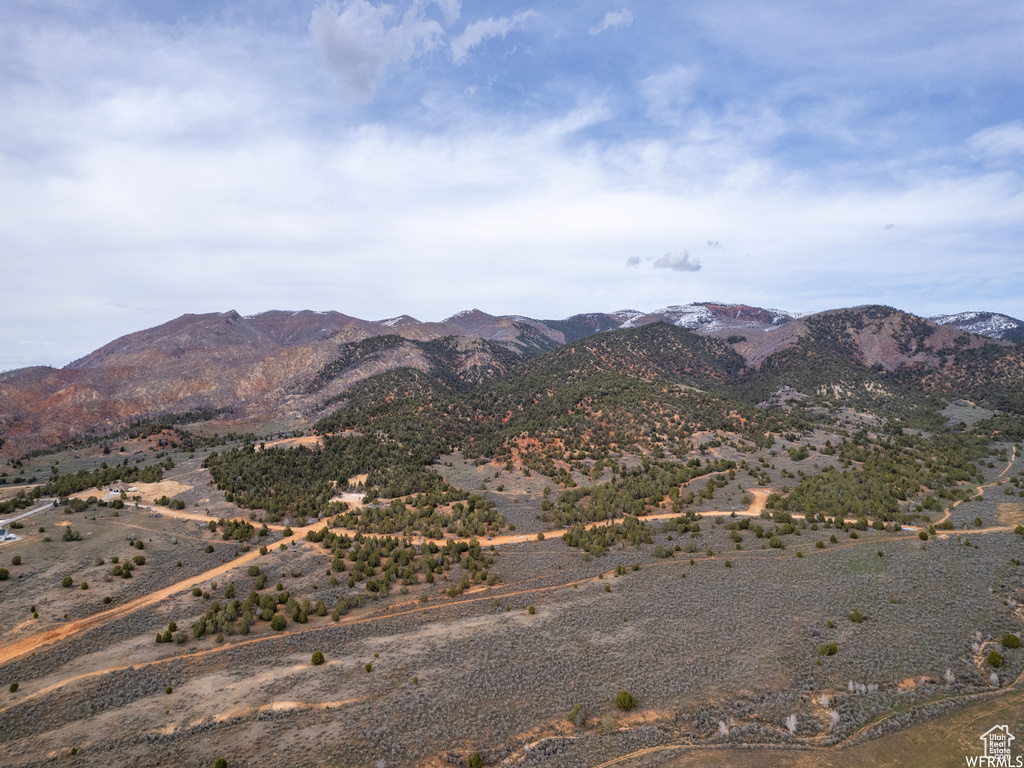 5458  COUGAR RUN Birdseye, UT 84629