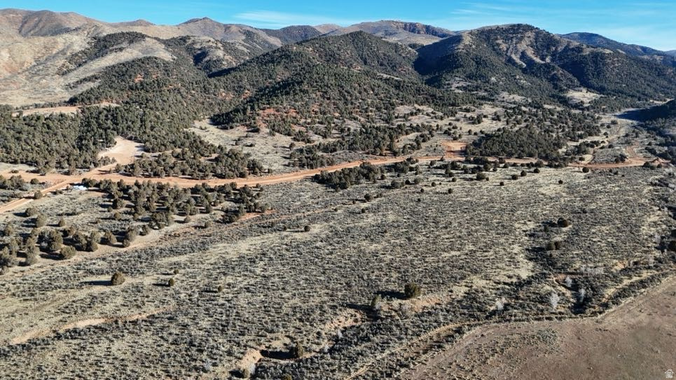 5458  COUGAR RUN Birdseye, UT 84629