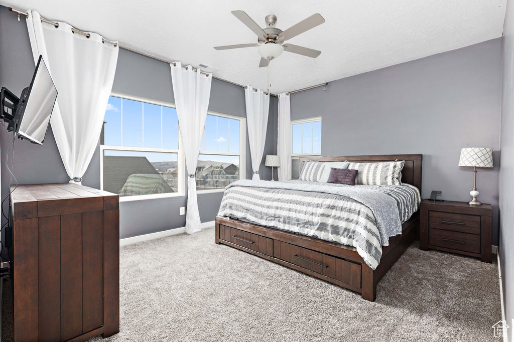 Photo 16 for MLS #2116835 at 11283 S Willow Walk Dr