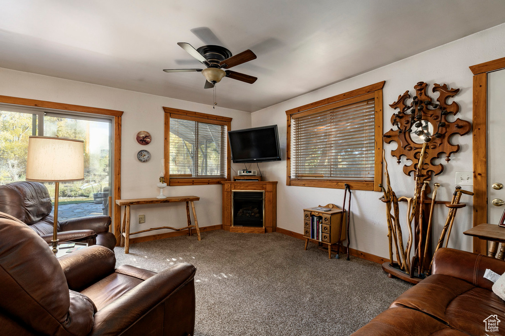 Photo 15 for MLS #2116850 at 2887 S Cottonwood Dr