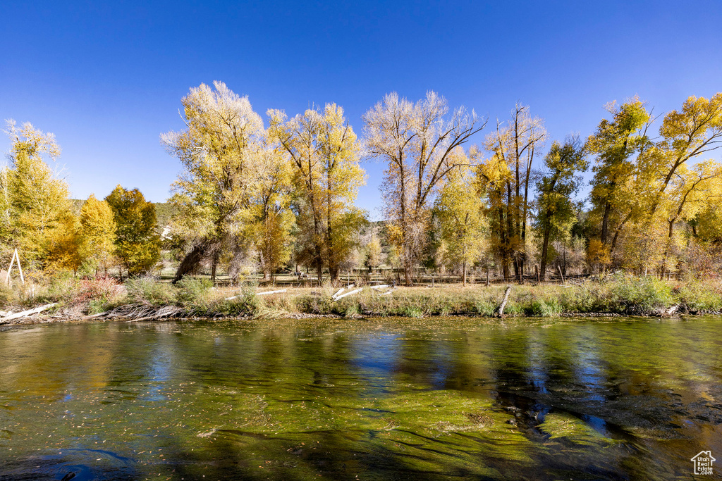 Photo 11 for MLS #2116850 at 2887 S Cottonwood Dr