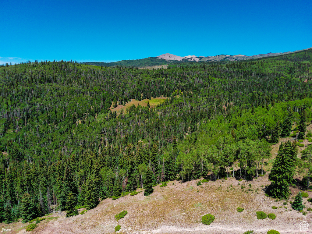 W HYRUM DR Beaver, UT 84713
