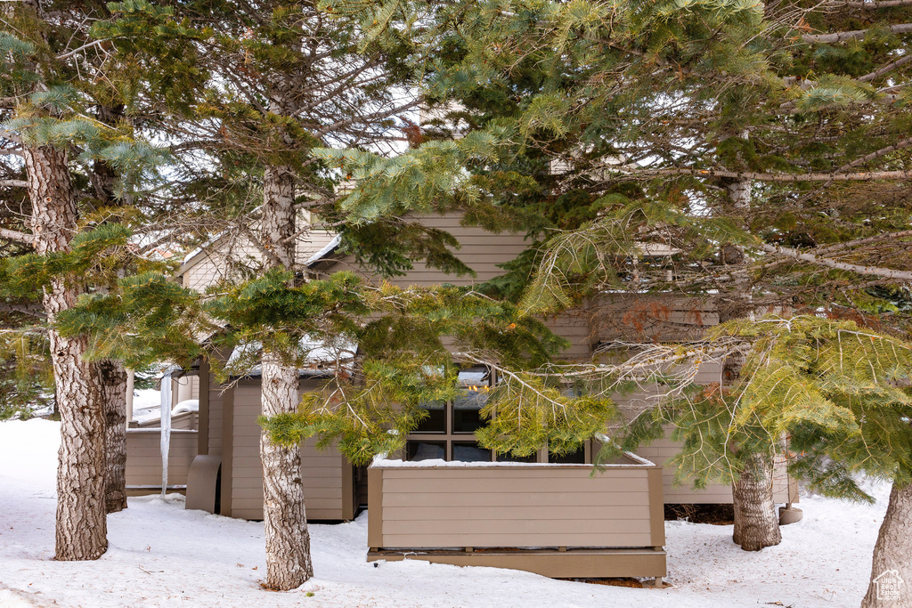 Photo 62 for MLS #2116908 at 1700 Three Kings Dr #157