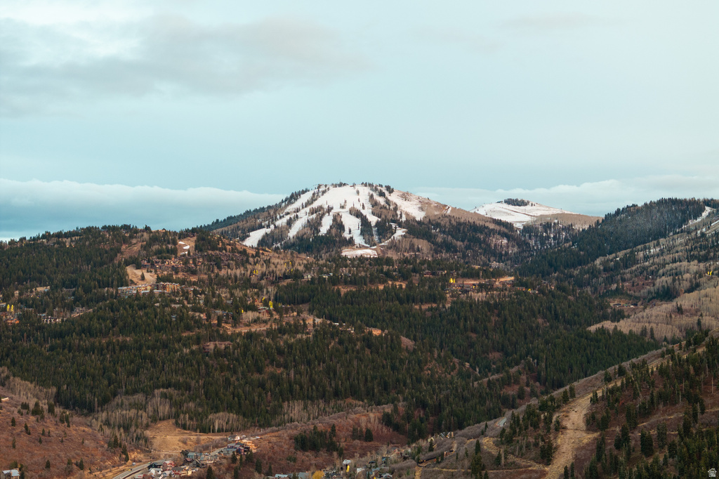 1109 PARK AVE Park City, UT 84060