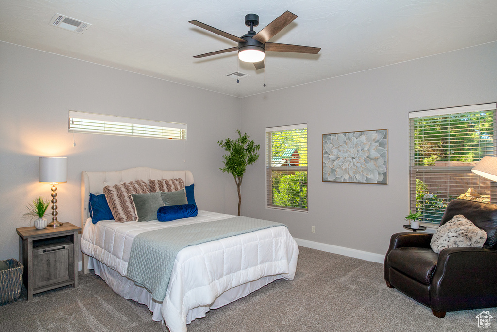 Photo 22 for MLS #2116930 at 2441 E Meadow Mist Way