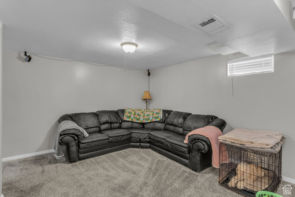Photo 25 for MLS #2116937 at 4617 S 450 West