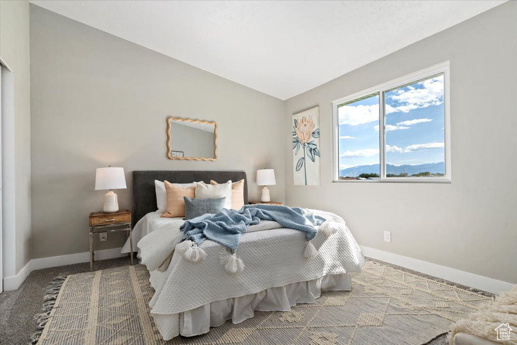 Photo 12 for MLS #2116945 at 3773 S Washington Loop