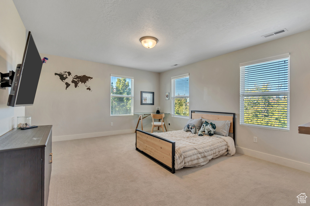 Photo 14 for MLS #2116980 at 4618 W Chenango Ln