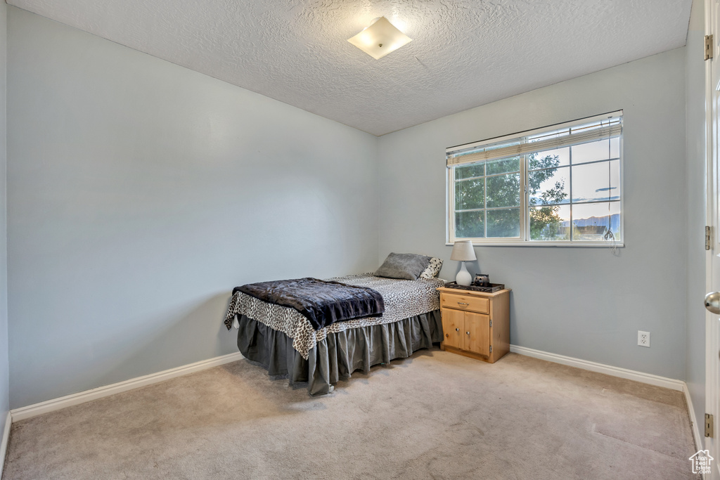 Photo 19 for MLS #2116986 at 161 S 1475 West