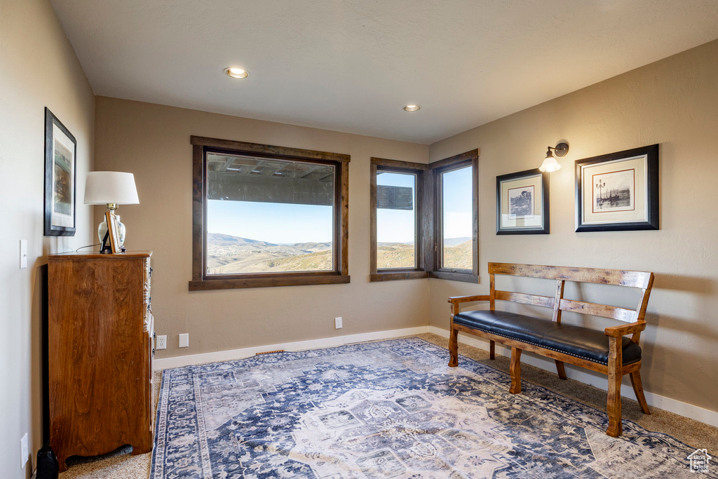 Photo 58 for MLS #2116991 at 164 Mountain Top Dr