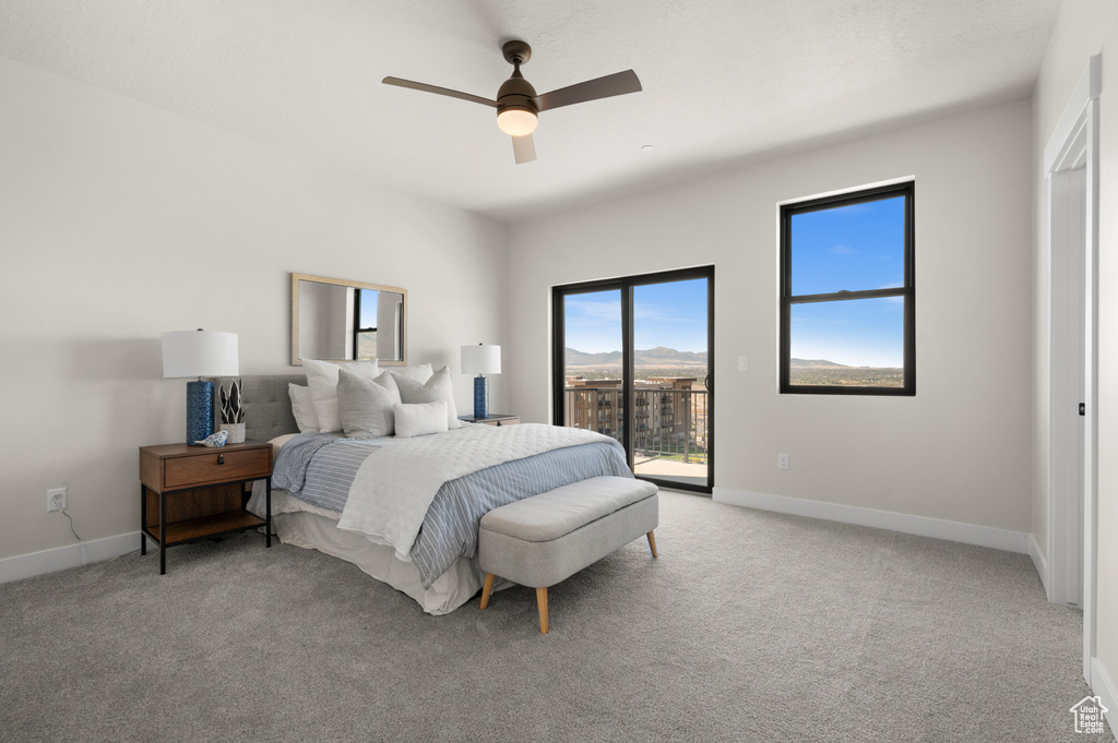 Photo 17 for MLS #2117008 at 281 E Endurance Cir