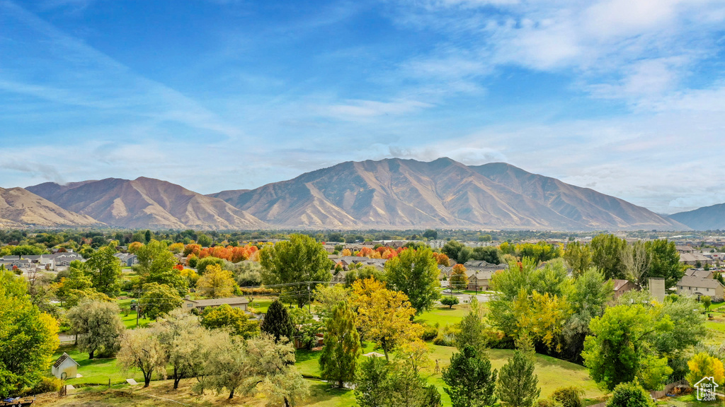 42 S 1100 W Springville, UT 84663