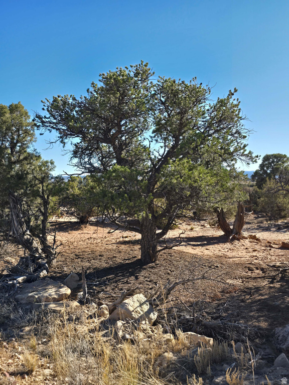 Address Not Available